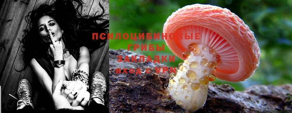 прущий лед Киреевск
