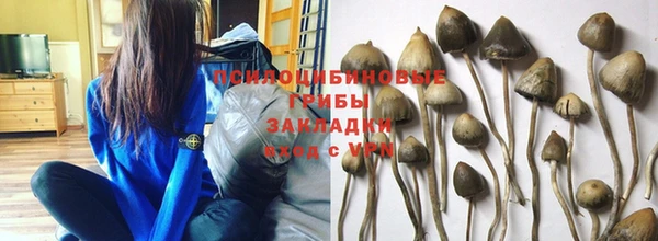 гашиш Аркадак